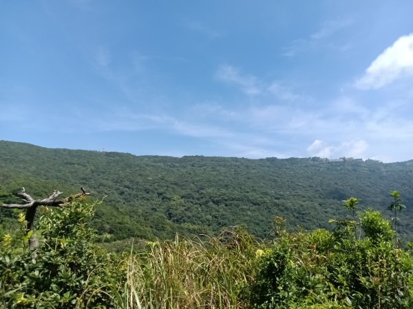 汐止區火燒坪山+車坪寮崙+五指山前峰O型2857919