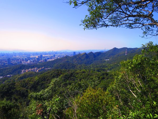 龍年首登的好選擇，鯉躍龍門，搭捷運來內湖爬三尖，鯉魚山、忠勇山、圓覺尖2426488