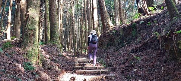 20241127特富野古道+梯子板山2659349
