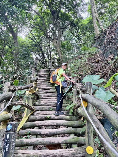 好久沒來大坑4號步道 2026.6.243079531