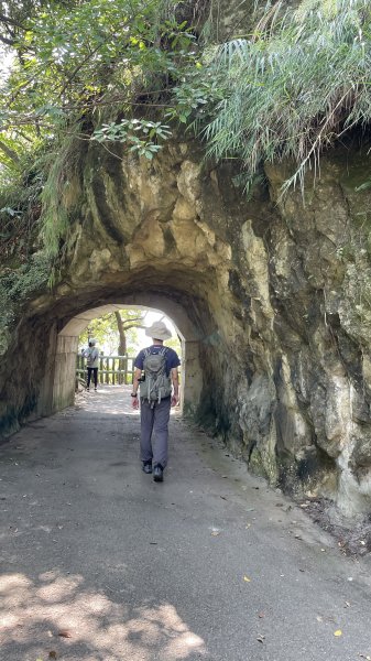 孫龍步道>光明山稜線>牛灶坑山>鶯歌石步道Ｏ型健走1863988