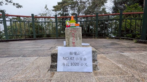 貓囒山步道2928510