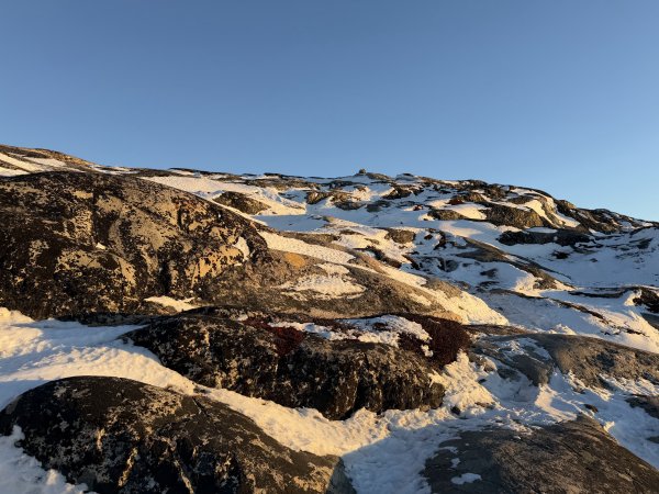 [紐約馬之行-42] 2025_1107 黃線步道-後2950719