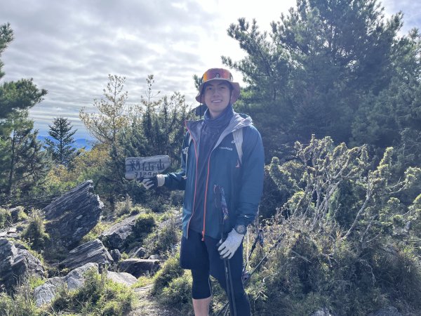 【新康橫斷】新康橫斷出瓦拉米2672373