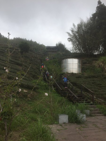 20230408嘉義縣頂石棹步道2109351