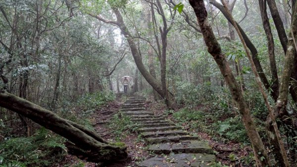 114.11.01旅聯網21週年活動之七星山-七星山東峰-七星公園-夢幻湖2928906