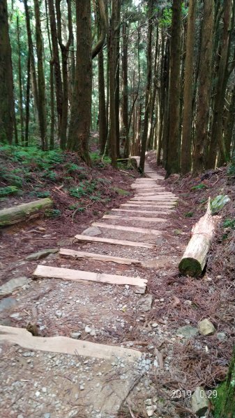 訪特富野古道順登梯子板山978972