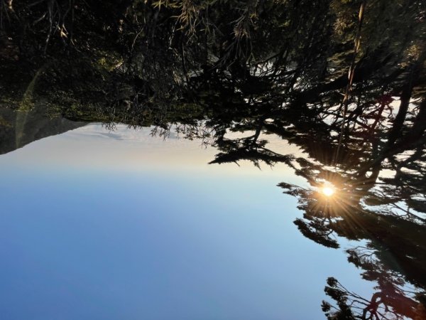 見證最美麗北大武山雲海、鐵杉1318823