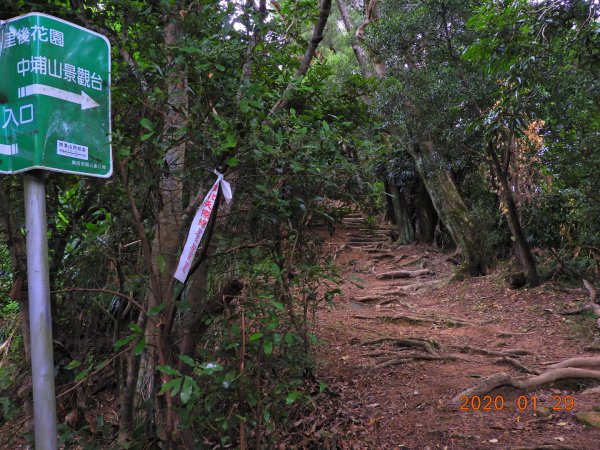 臺北市 文山 中埔山東峰817228