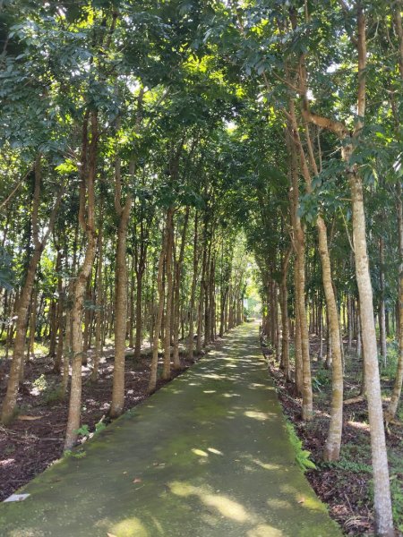 四寮溪生態步道2882168