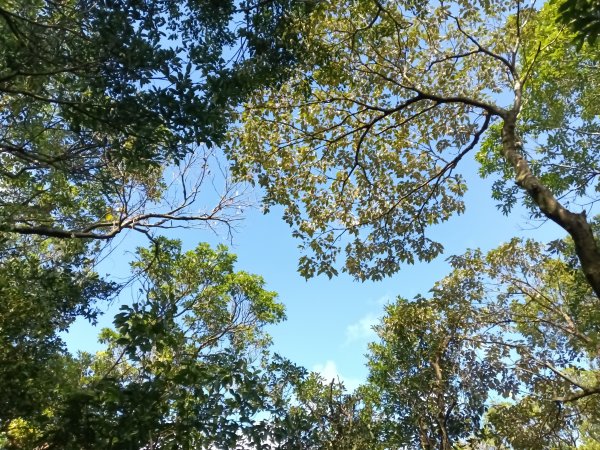 雙溪區雙坪一號橋+盤山坑山+土地公山+474峰+石硿子越嶺古道O型2936383