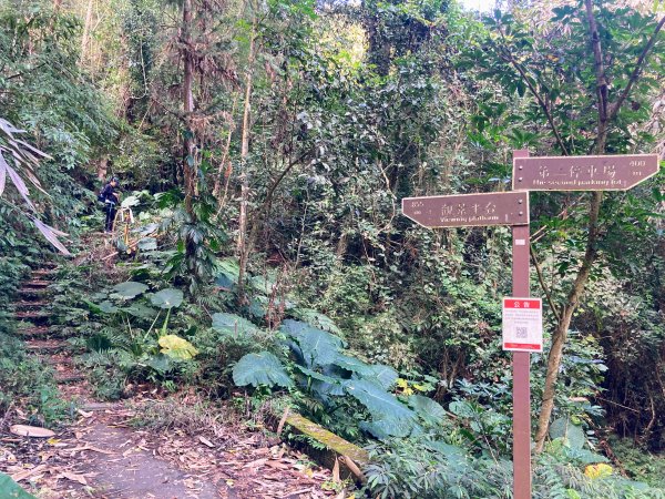 後尖山步道2683558