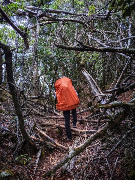 【高雄桃源】南一段。石山秀湖1227400