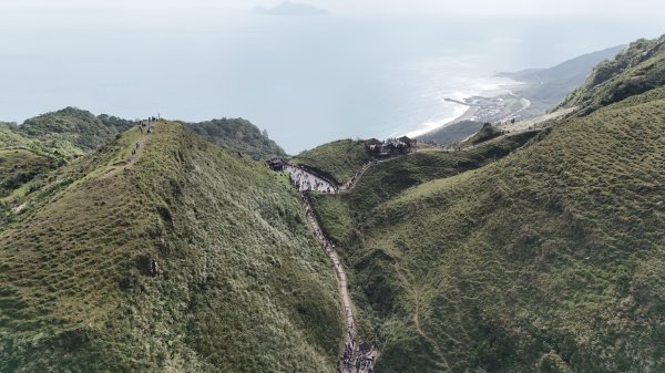 2025.11.29－草嶺古道芒花季2955989