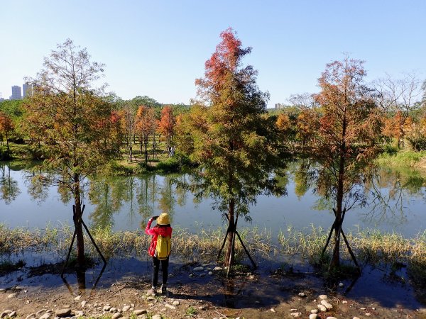 大溪月眉濕地-山豬湖生態公園-李騰芳古宅-大溪橋-大溪老街