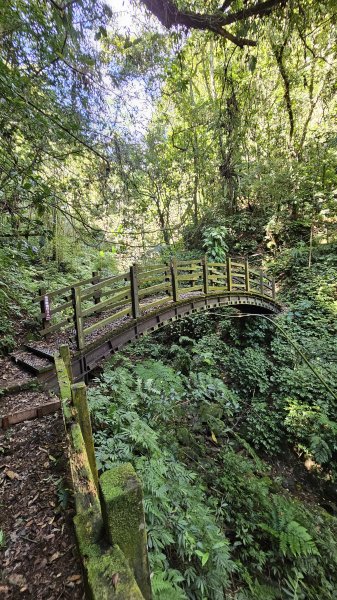 【四大天王山O型縱走未竟之旅：封山中的靜謐與省思】解鎖嘉義竹崎四大天王山、知鳥山。2929912