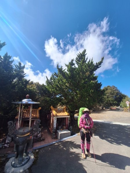 朝聖台灣最大神木之首-大安溪神木2704491