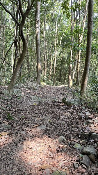 崩潰陡上的水雲三星～鳥嘴山（上島山）2095278