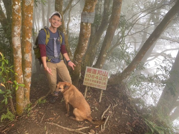 馬那邦山.細道邦山【你 不能預判山的變幻莫測】2401523