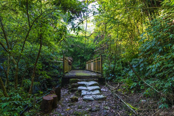 [新北]白雞山與裕峰煤礦遺址2891856