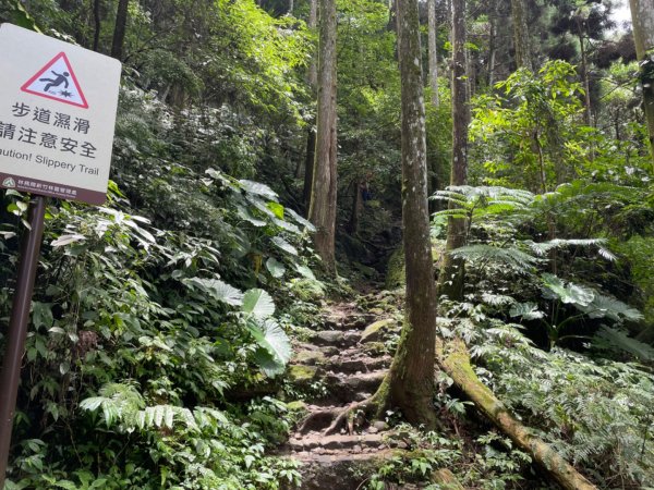 五指山登山步道2226353