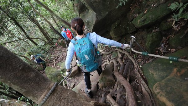 五寮尖登山健行趣(郊山)1934771