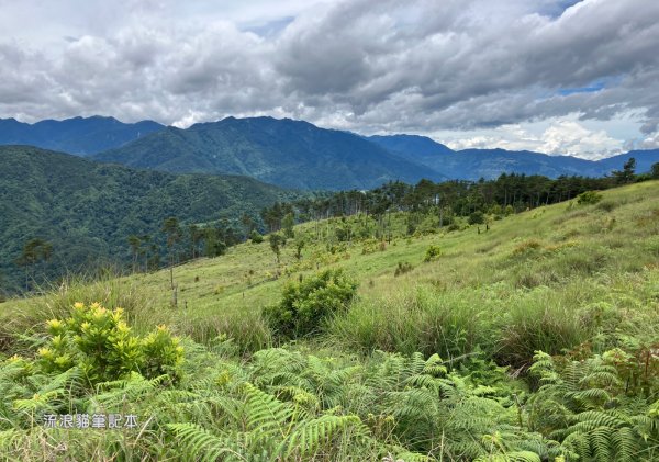 【羅馬縱走】山林巨木饗宴，夏季避暑的縱走路線