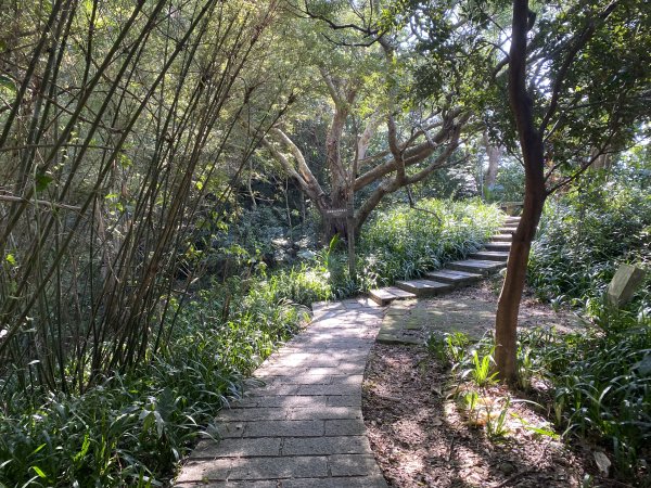 四獸山健走紀錄｜冬日九五峰健走｜福德街51巷起登 × 豹山溪步道下山2985887