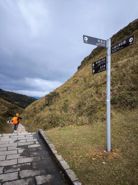 2025-01-19 大里天公廟~埡口2695380