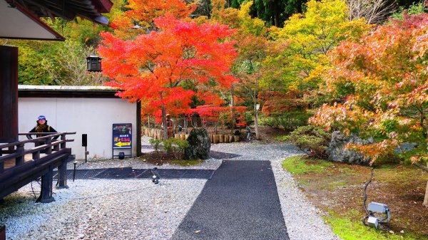 岩手縣藤原之鄉2930102