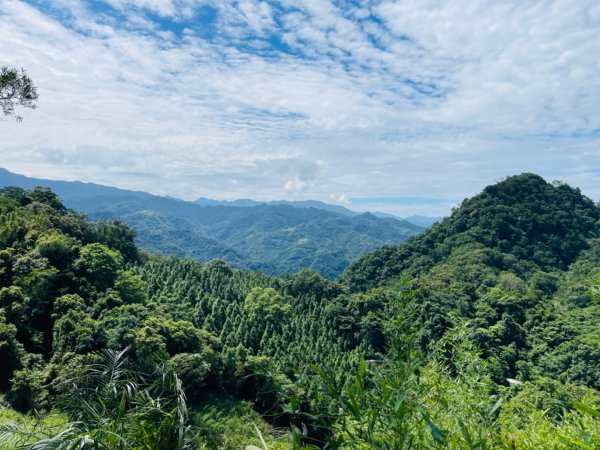 1140618鳴鳳古道｜錫隘-雲洞宮2815374