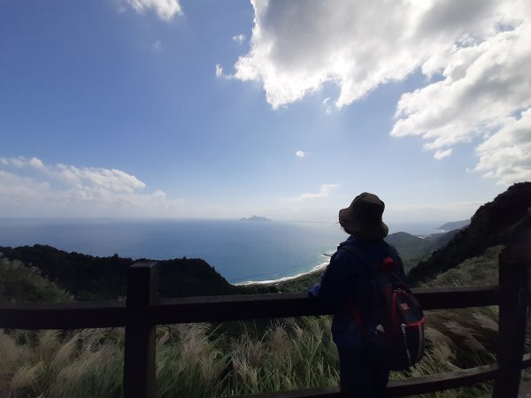 草嶺古道芒花季封面