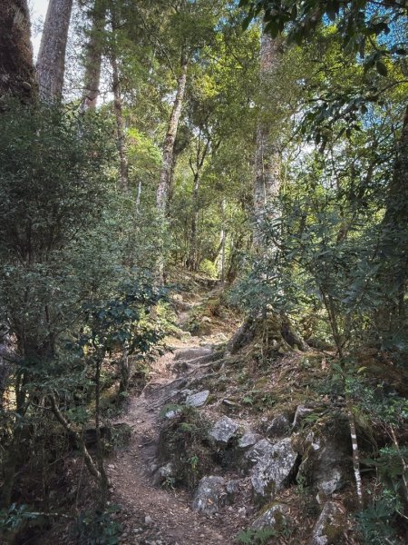 鳶嘴稍來步道賞楓季 ，大雪山門票優惠到12/31！2969572