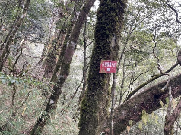 霞喀羅古道2676924