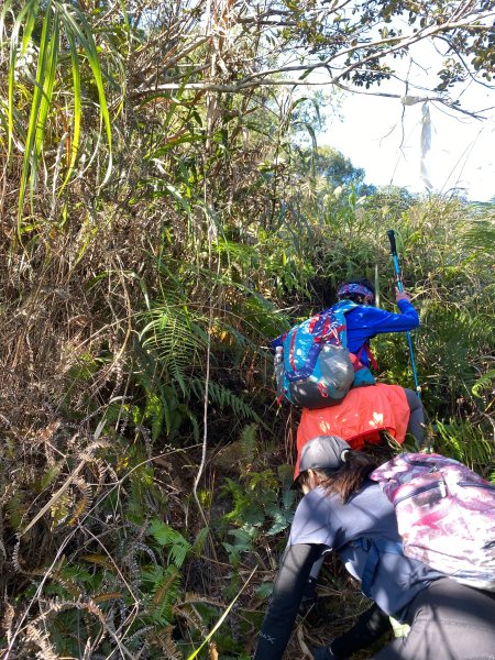 20250112八眉阿2688834