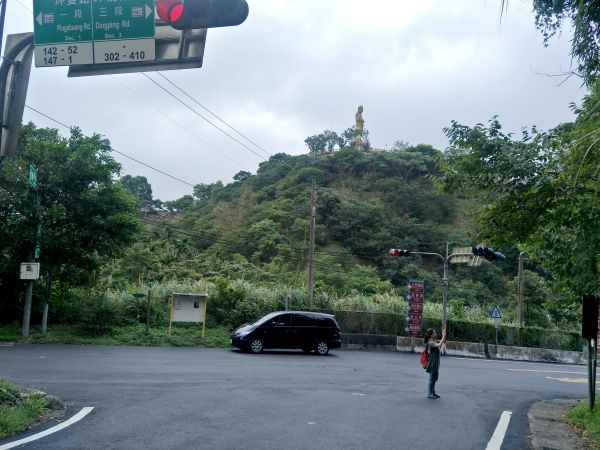 坪林水柳腳步道350678