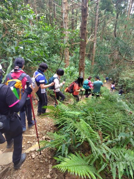 長壽山、肥崠山、醜崠山、大崠山、大崠山經建版2931629
