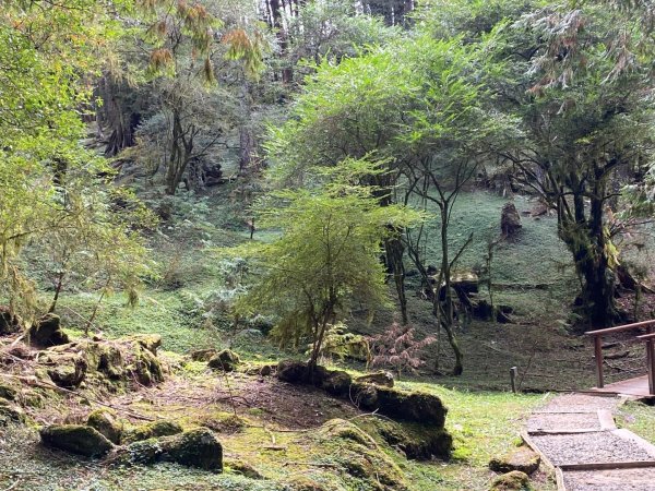 1131215大塔山步道2669081