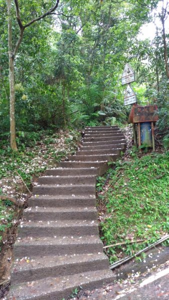 大艽芎古道-溪洲山-頭寮山577958