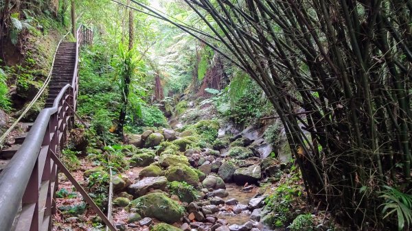 豹山溪,獅山溪,永春崗1769886