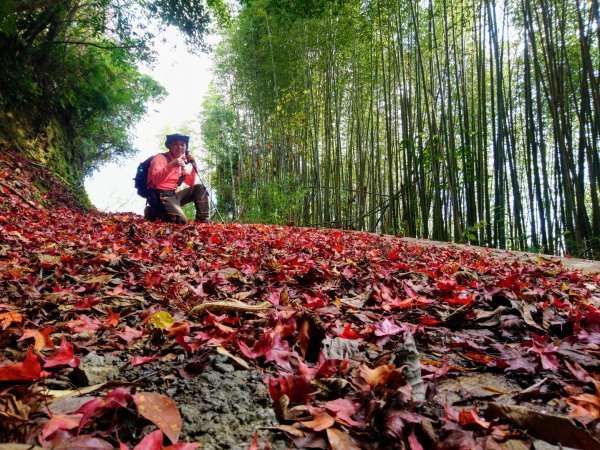 李崠山、泰平山、馬望僧侶山O走1211370