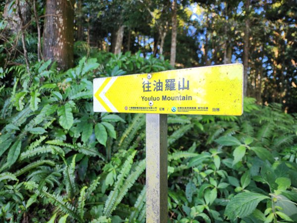 新竹橫山｜油羅山3076795