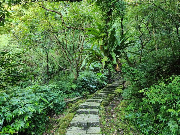 小百岳No.10⛰五分山2883141