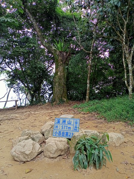 《原始幽靜、土石紛陳的桃園溪洲山、新溪洲山》【小百岳集起來】# 023 溪洲山步道(福山巖登山步道)