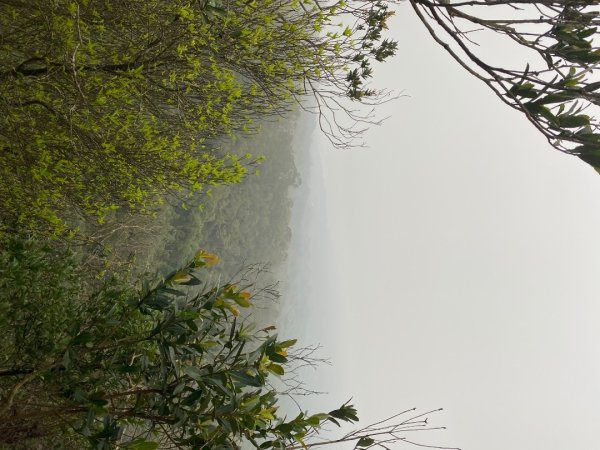 苗栗三義-三員縱走2616451