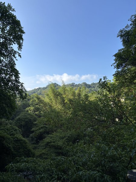 五分山 - 小百岳 #0103108384