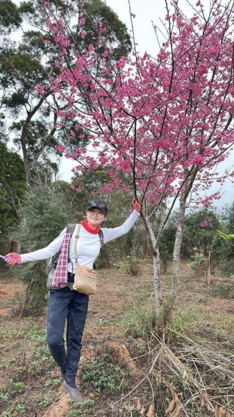 20260127三通嶺山.三義山(大桁茂山).慈濟山.大坪山大O走2990020