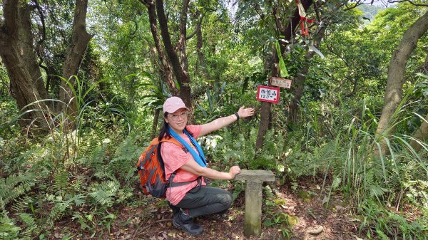 (姨婆趴趴走)第十集:攀登新北鶯歌蛋山，鶯歌郊山步道群縱走(二)2167978