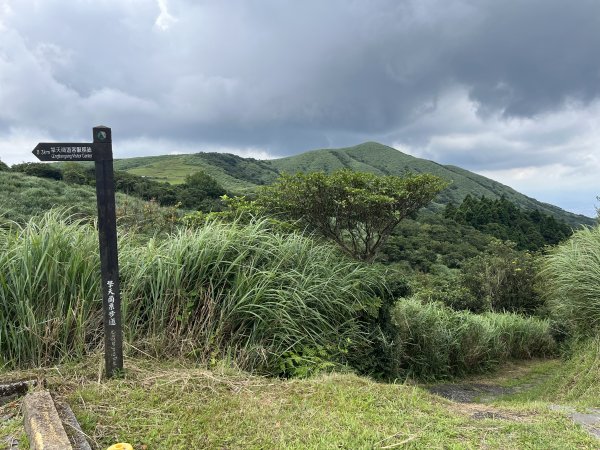 [走遍陽明山]2023_0723 冷擎步道2317518