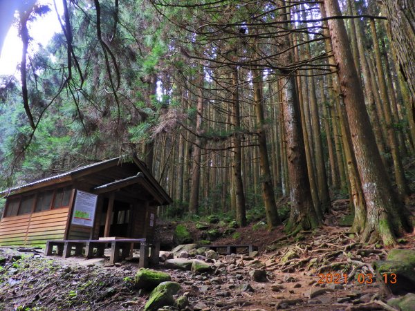 苗栗 南庄 加里山、哈堪尼山1304148